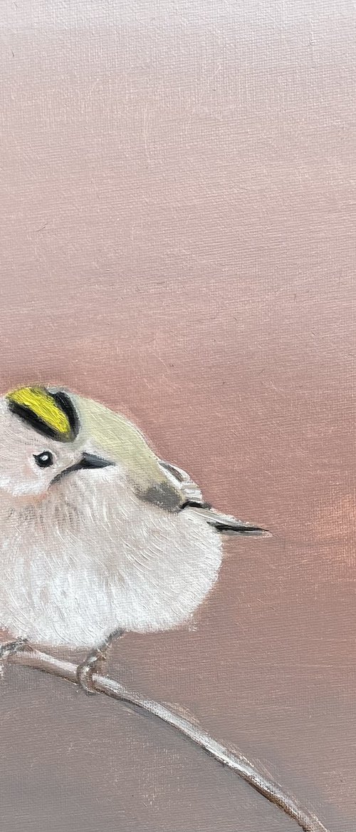 Goldcrest by Laure Bury