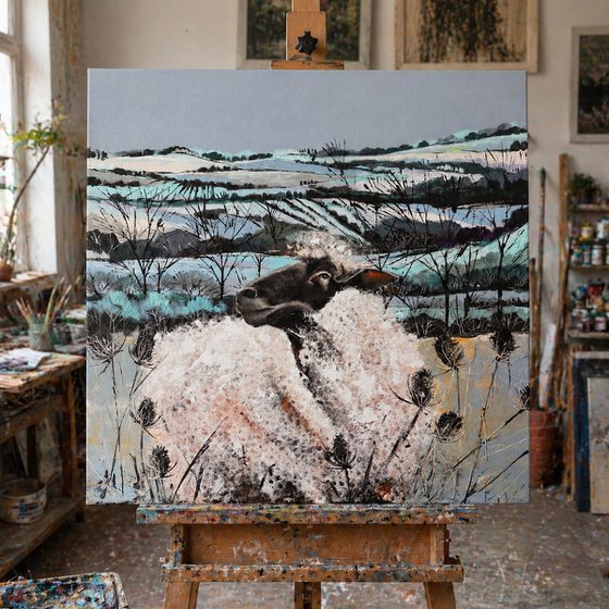 Sheep In The Countryside 7