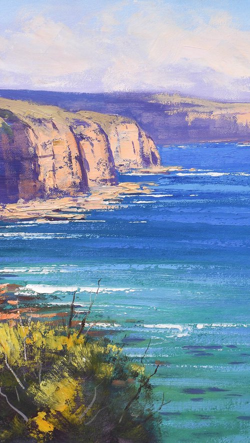Cape Schanck Headland by Graham Gercken
