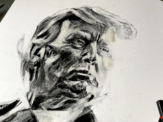 Donald Trump portrait