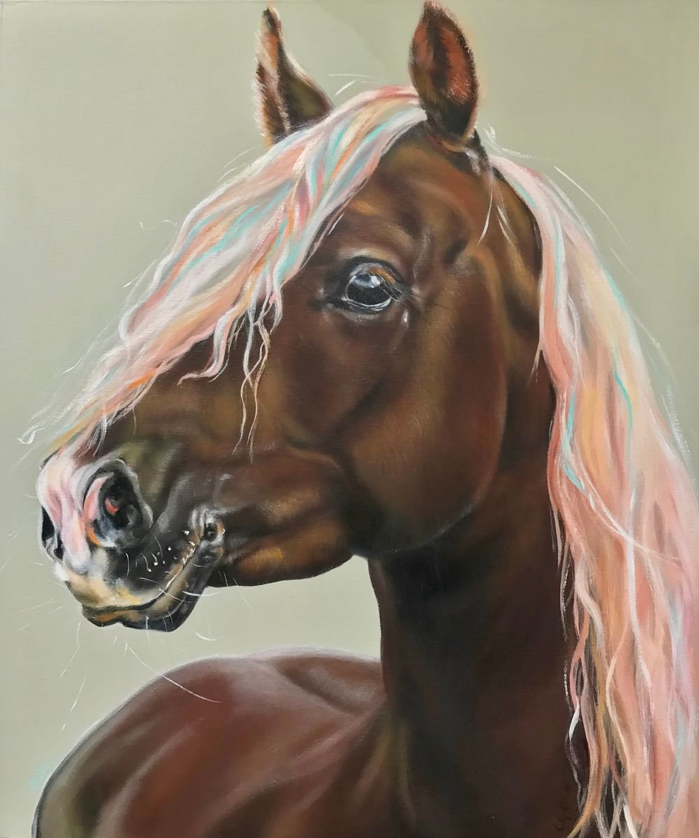 Horse with flowing colourful mane 24x20 original oil on canvas board unframed by Carol Gillan