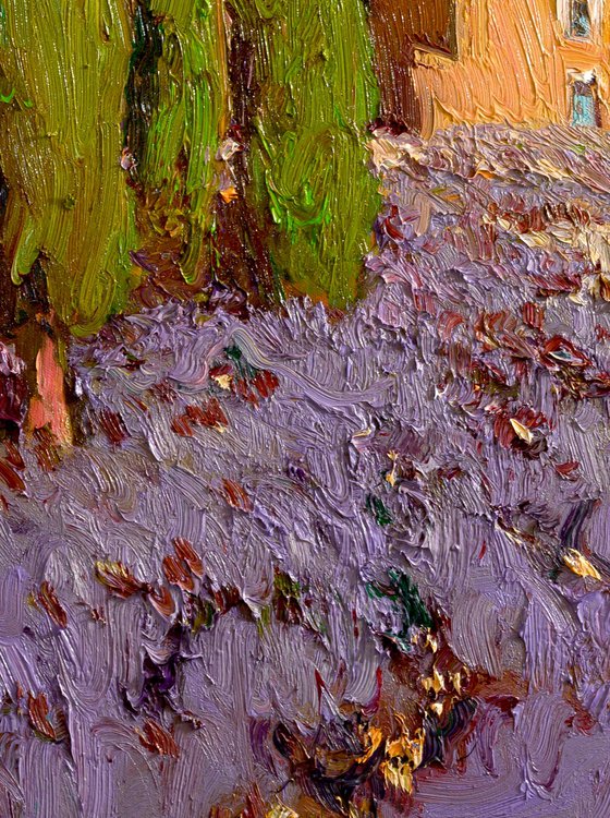 Lavender, French Village