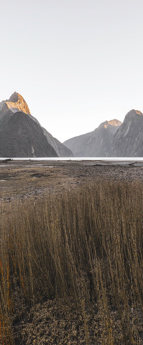 Milford Sound by Nick Psomiadis