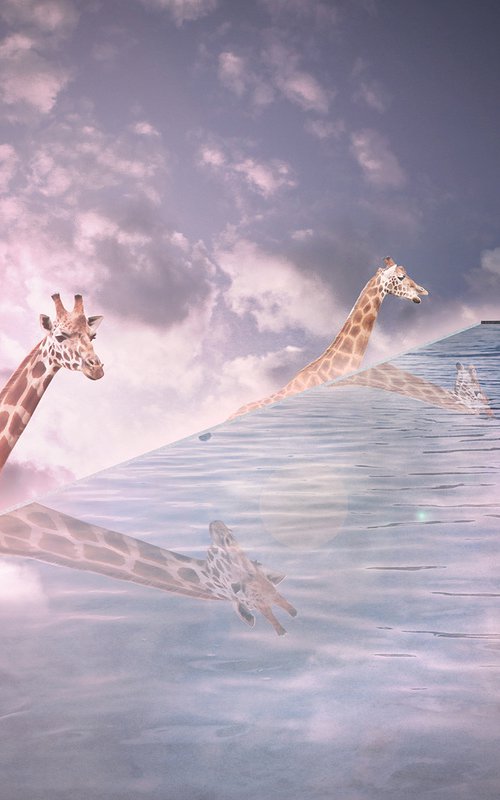 Giraffe Sky Pool Dusk by Vanessa Stefanova