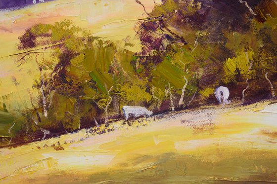 Australian summer landscape