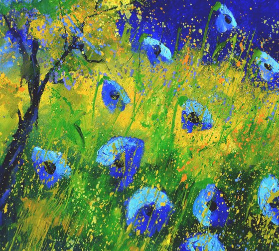 Blue poppies