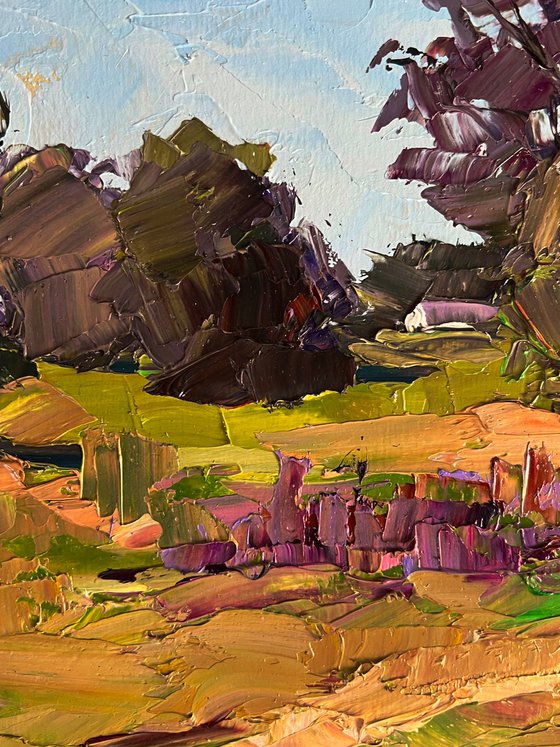 In the Summer Meadows