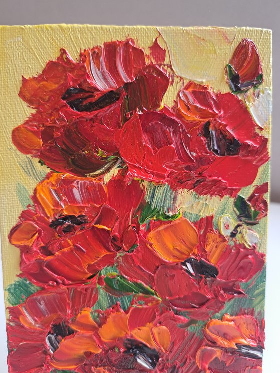 Poppies miniature