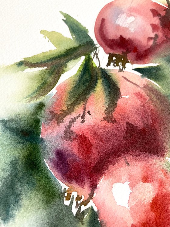 Pomegranates, 27,5x18,5 cm watercolor, red, still life, gift, small size