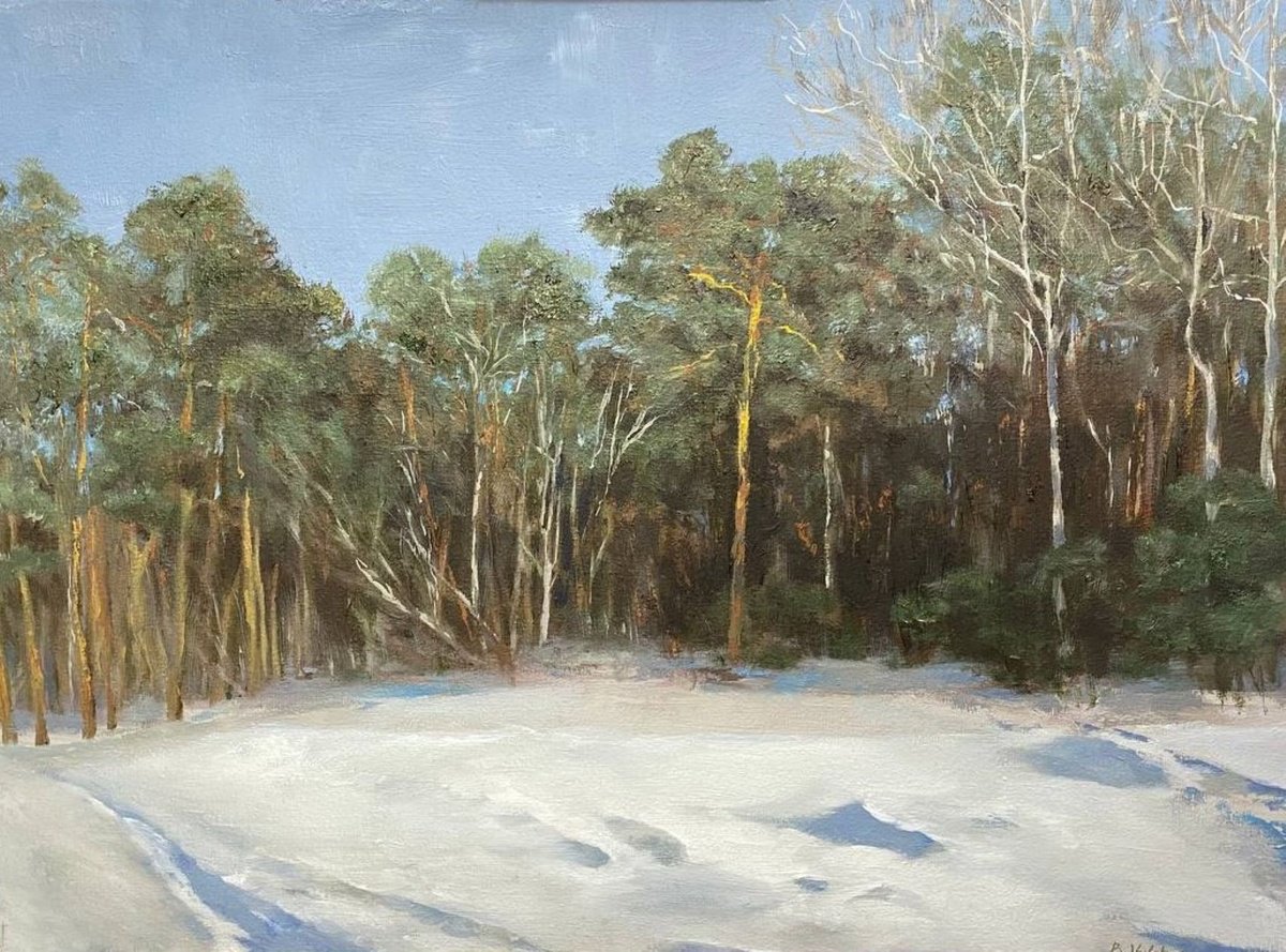 Impressionistic Landscape Oil Painting By Bohdan Vykhrenko, 16 X 12, Winter Forest, Original Artwork