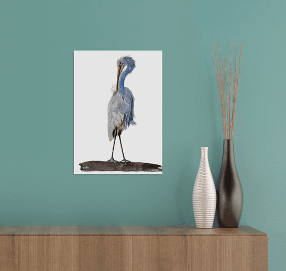 White Strok Heron