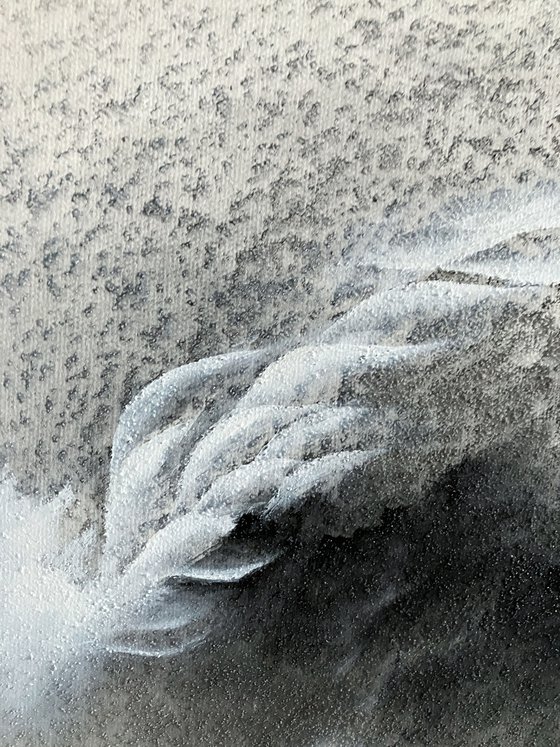 Where our roots touch