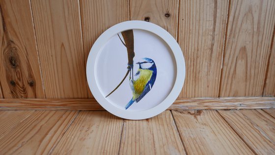 Framed Bird art. Blue tit. Part 3