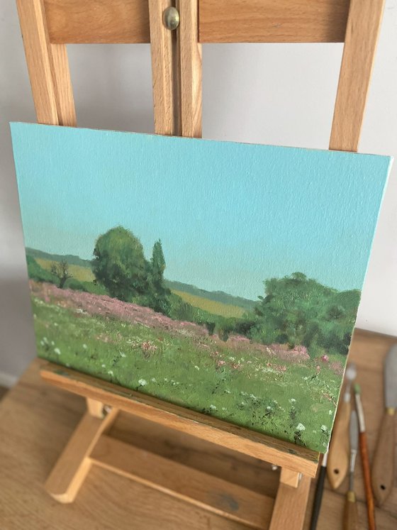 Wildflower meadow
