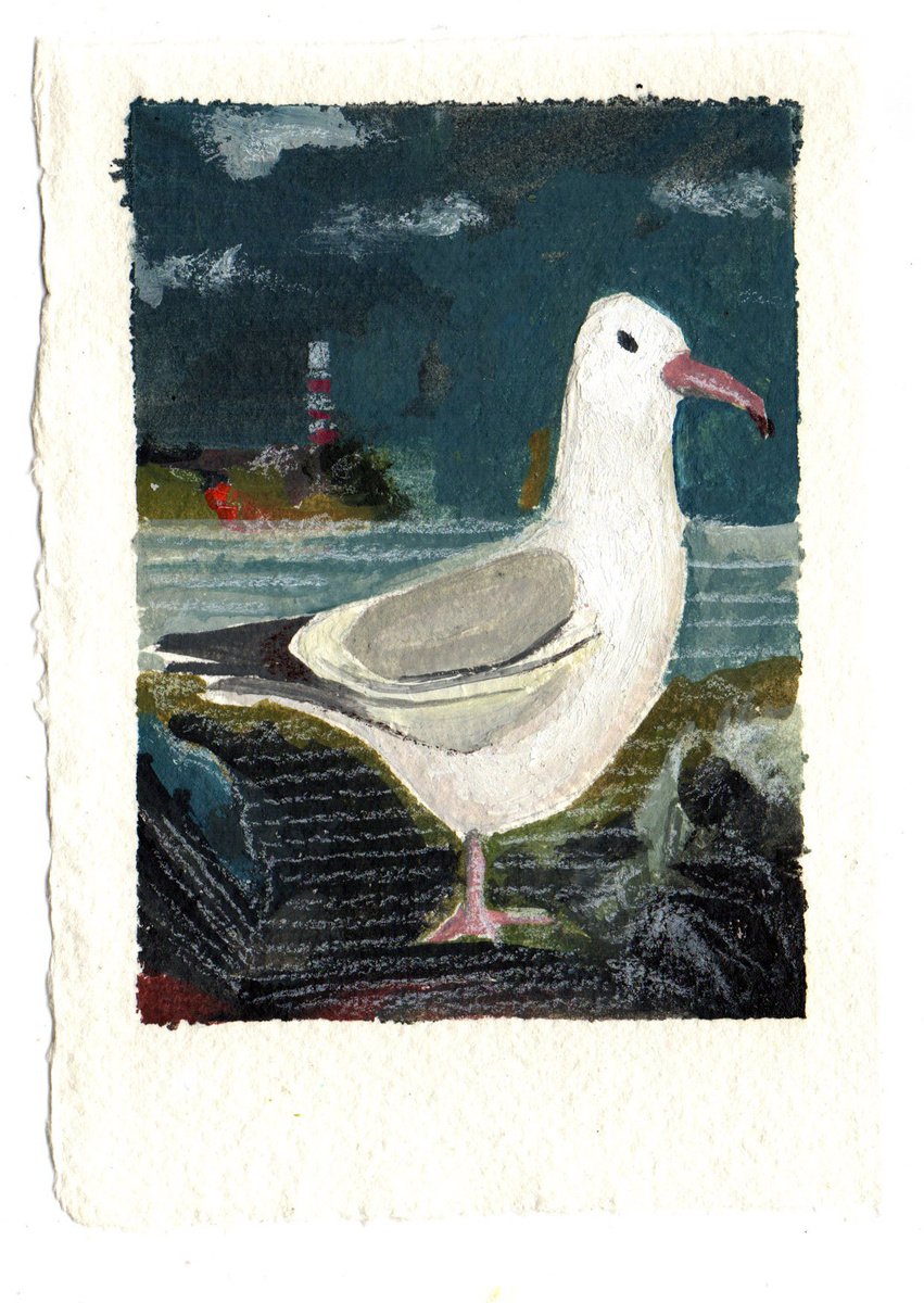 Gull by Mat JS Moore