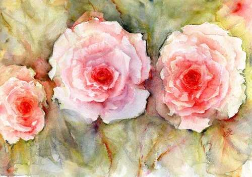 Roses, roses, roses . . . by Jenny Alsop