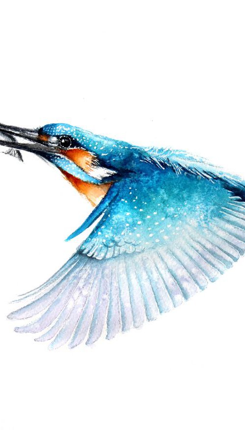 Flying Kingfisher , wildlife, birds and nature watercolour by Karolina Kijak