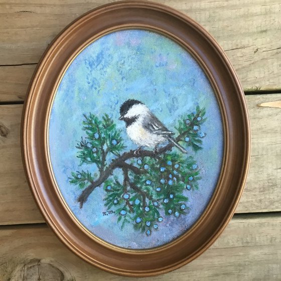 CHICKADEE # 51 - 10X8 oval oil  (SOLD)