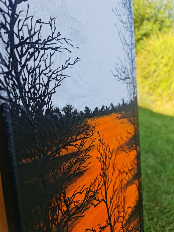 Sun in the lake 5