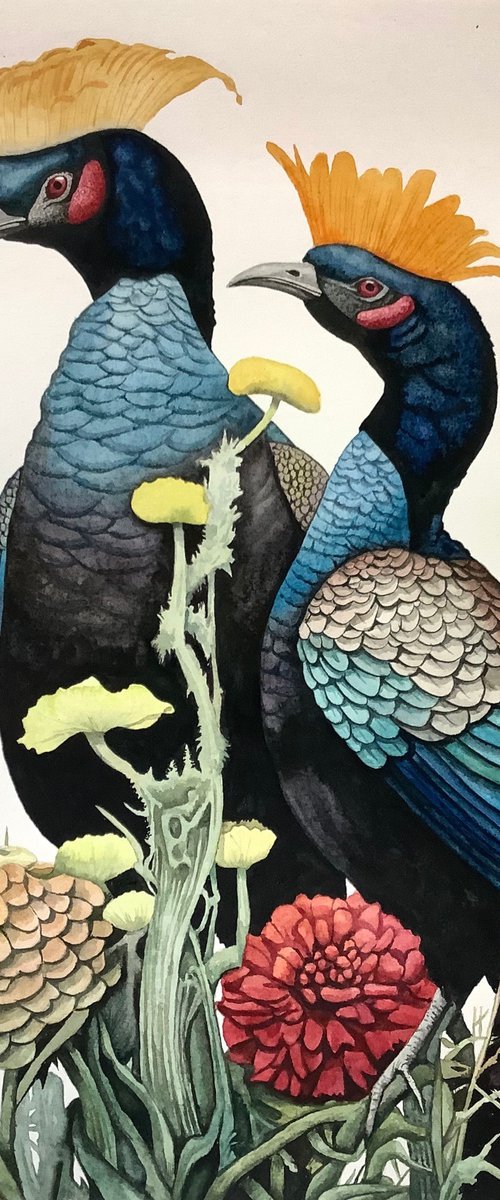 Undiscovered Birds 2 by Lisa Lennon
