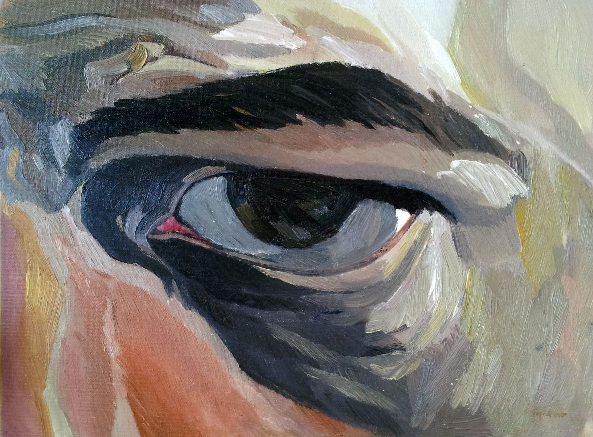 Expressive Portrait Oil Painting By Adam Grose Ma Pgce, 16 X 12, Eye Series, Original Artwork
