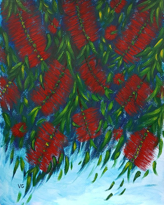 Callistemon (Bottle brushes)