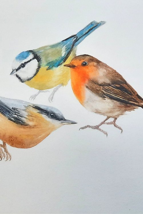 Songbird Solace by Alison Fennell