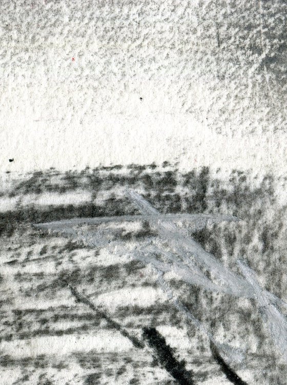 The Whin Sill 6