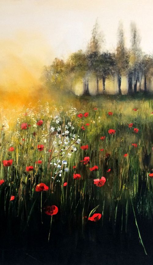 The Last of the Poppies by Kimberley  Harris