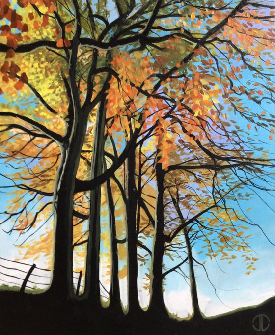 The Beeches At Minnowburn