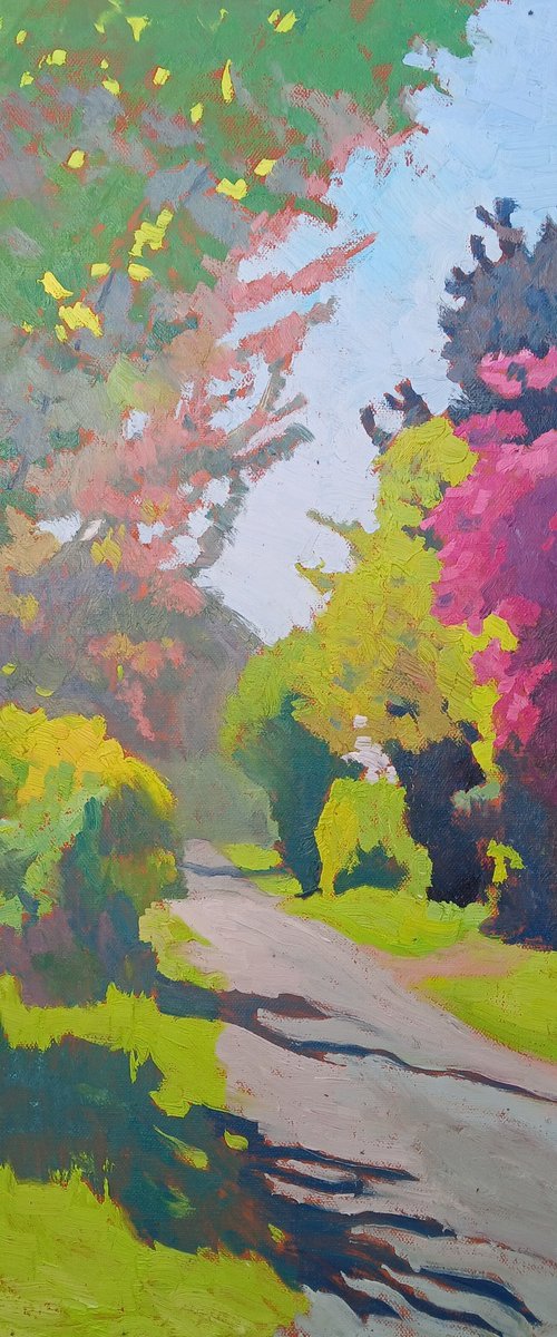 Midday Path by Vasyl Koval