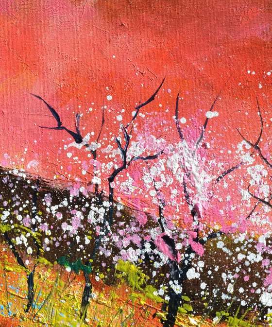 Blooming spring trees