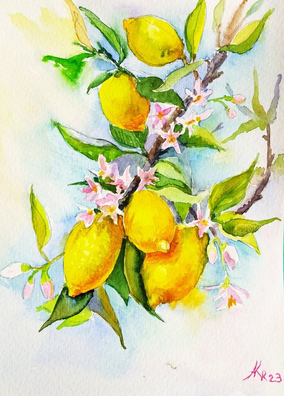 Branch of lemon tree