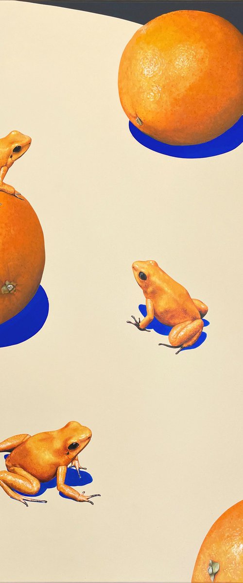 Apples and Oranges by Joshua Daniels