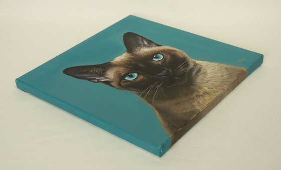 Elegant Siamese Cat