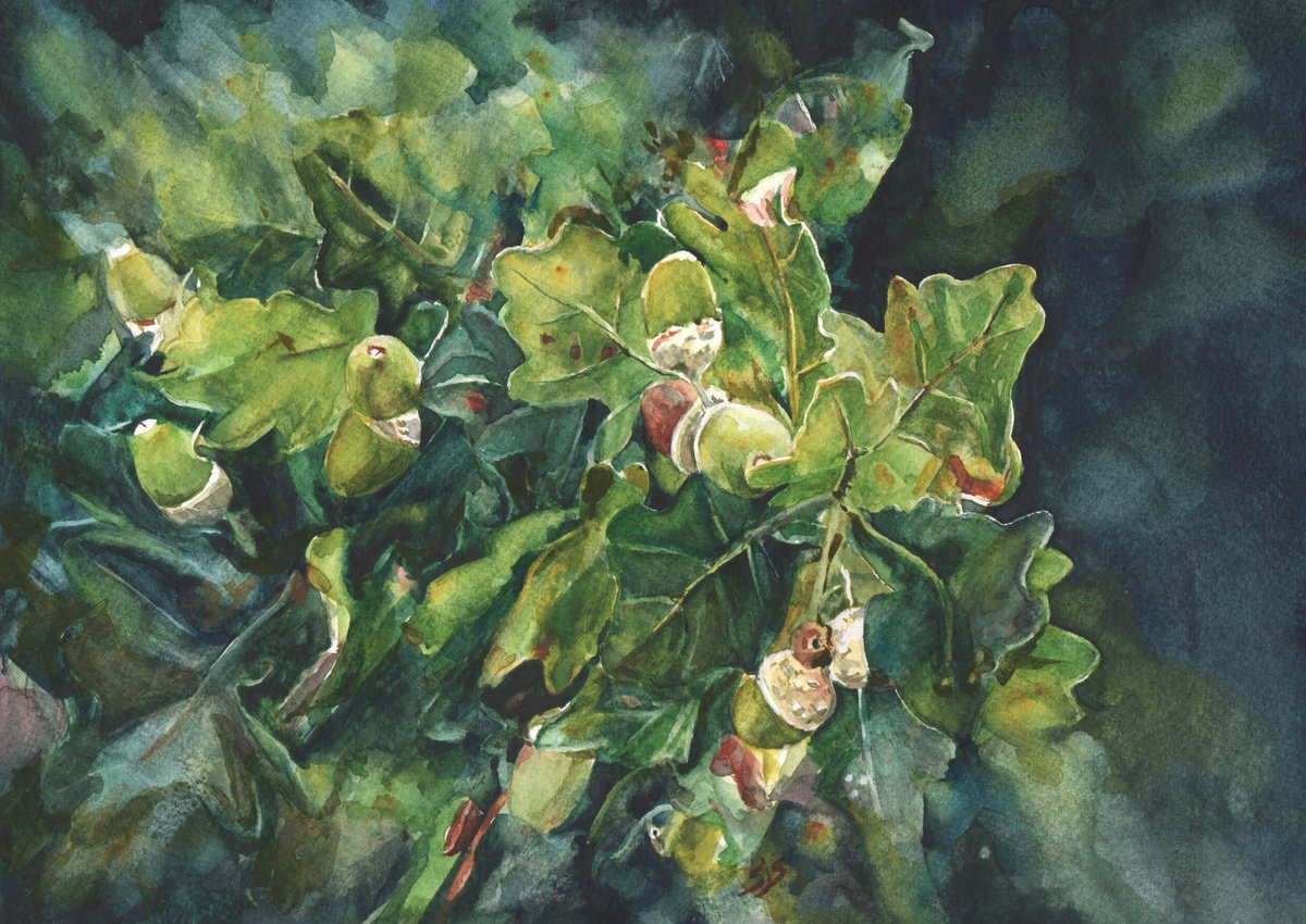 Photorealistic Botanical Watercolour By Sarah Stowe, 14 X 10", Acorn Season, Original Artwork