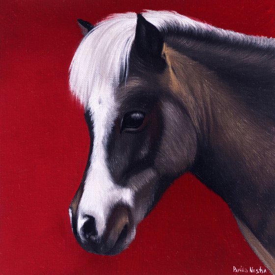 Horse Portrait 78