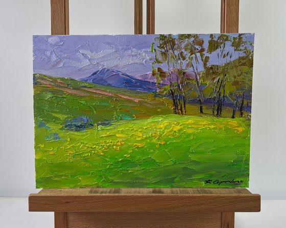 Mountain Flower Fields