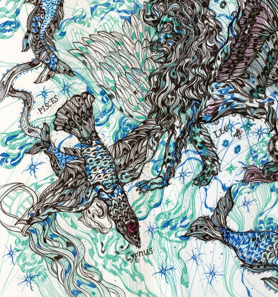 Altlas of the Starry Sky