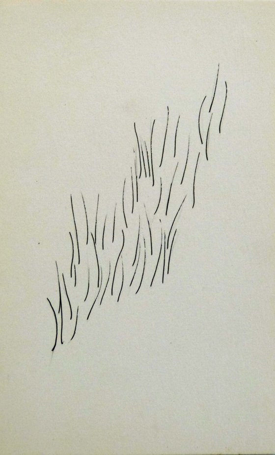 Sketches of Grass, 3 ACEO drawings 7,5x12 cm