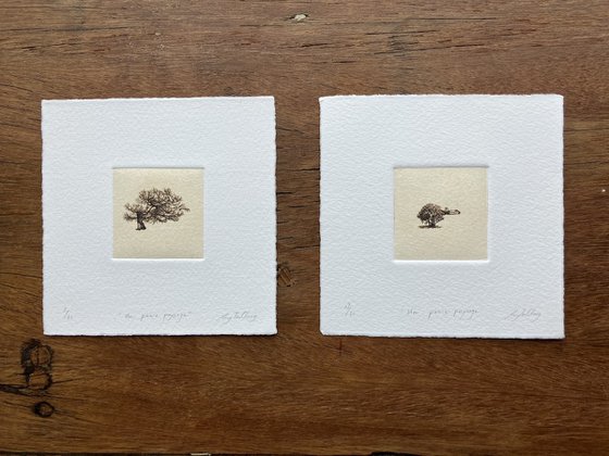 “ UN PETIT PAYSAGE ” #48 & #45