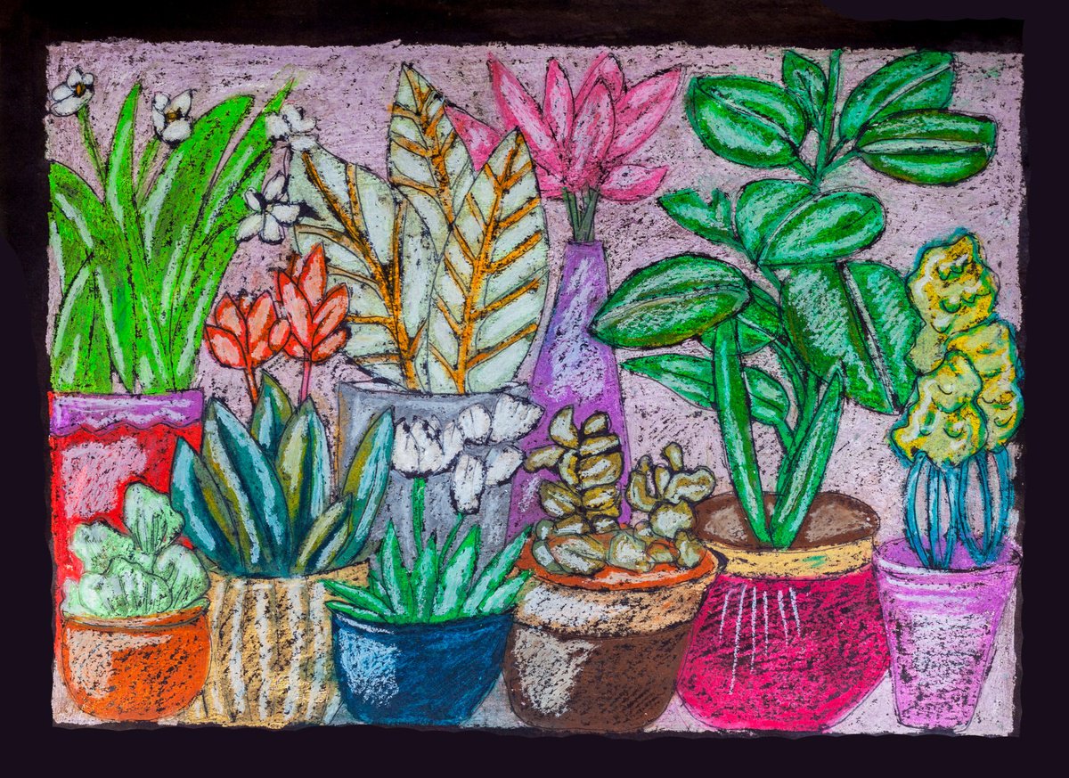 Graphic Botanical Pastel Drawing By Ariadna De Raadt, 19 X 14, Home Plants In Vase 2, Original Artwork