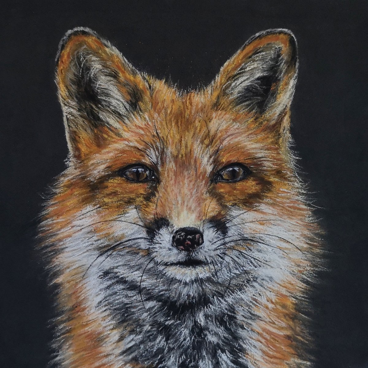 Fox by Kamila Godlewska