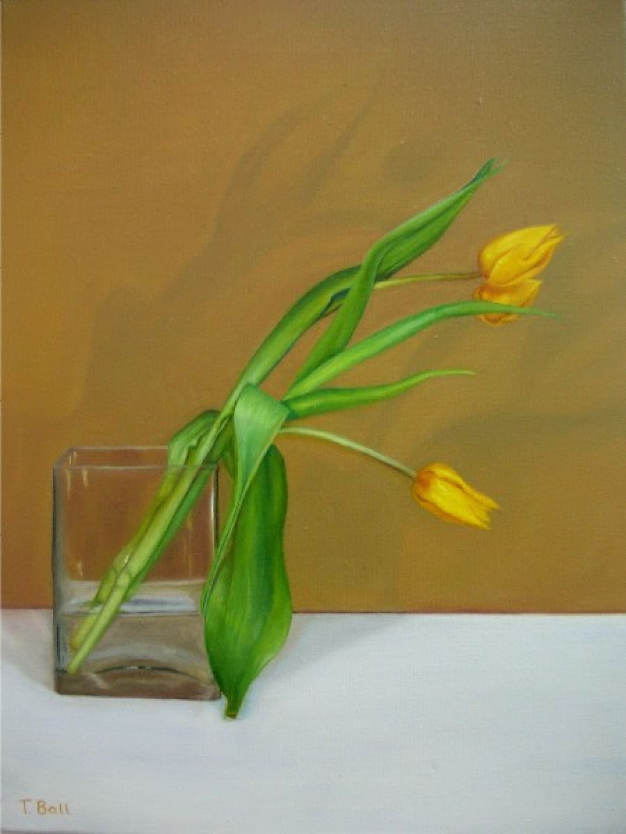 Yellow tulips in vase by Trinidad Ball