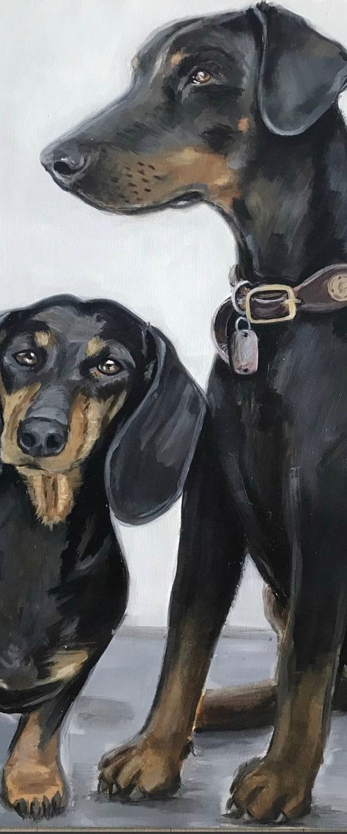 Pet portrait commission by Leysan Khasanova
