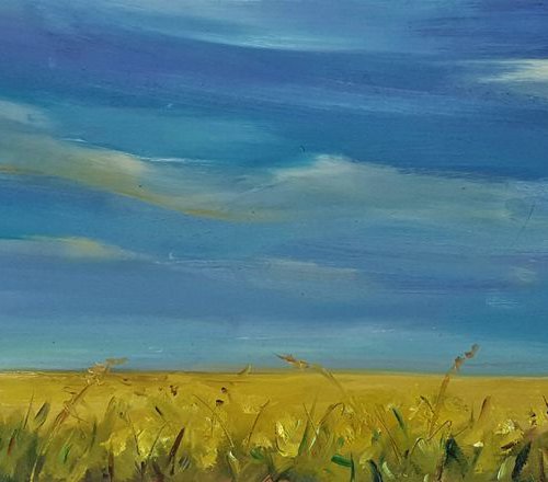 Yellow haze horizon  - summer fields and blue skies by Niki Purcell