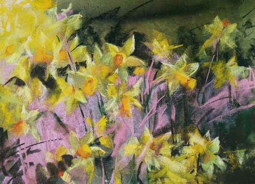 Garden Memories: Daffodils by Silja Salmistu