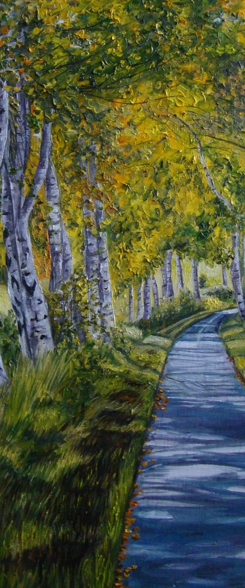 Magic of the birches by Olga Knezevic