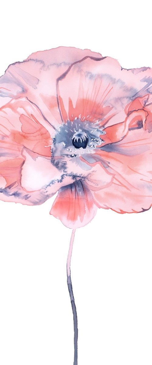Poppy No. 7 by Elizabeth Becker