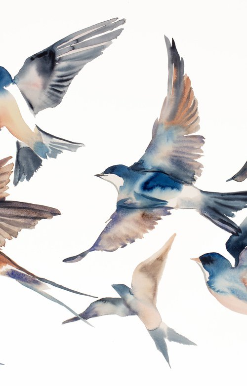 Swallows in Flight No. 47 by Elizabeth Becker